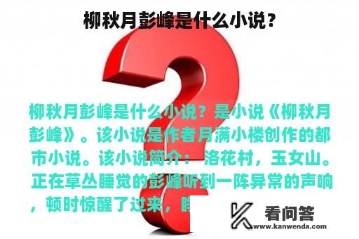 柳秋月彭峰是什么小说？