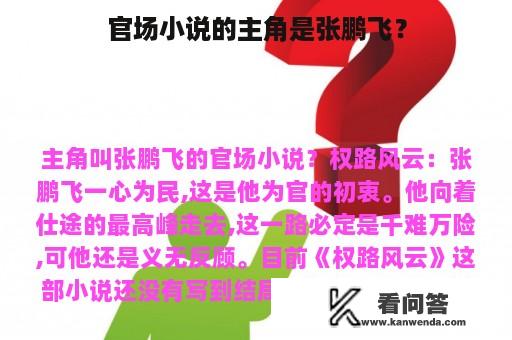 官场小说的主角是张鹏飞？