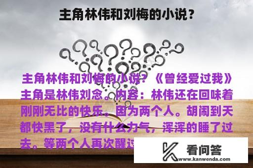 主角林伟和刘梅的小说？