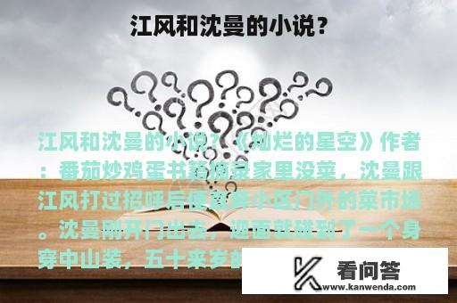 江风和沈曼的小说？