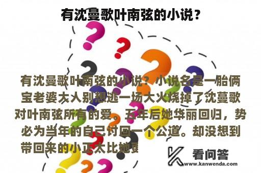 有沈曼歌叶南弦的小说？