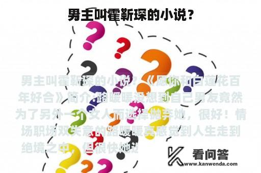 男主叫霍靳琛的小说？