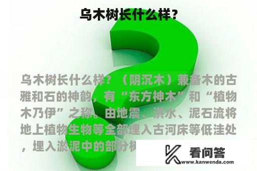 乌木树长什么样？