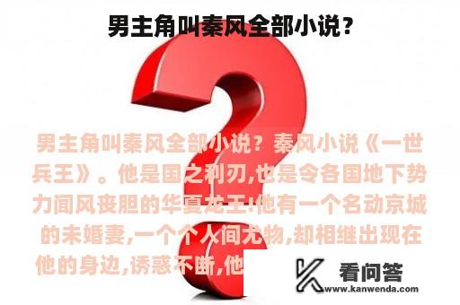 男主角叫秦风全部小说？