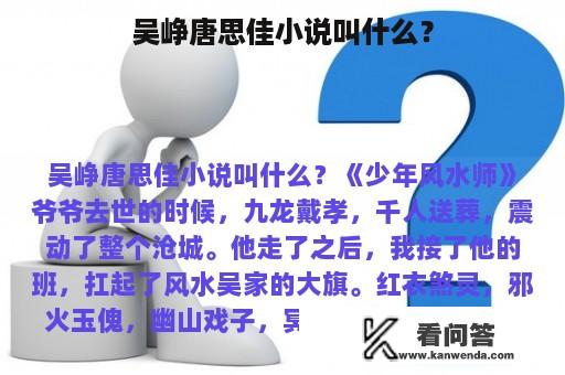 吴峥唐思佳小说叫什么？