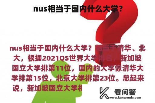 nus相当于国内什么大学？