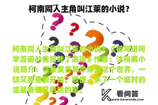 柯南同人主角叫江莱的小说？