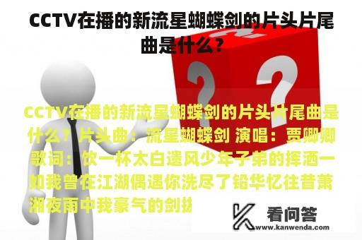 CCTV在播的新流星蝴蝶剑的片头片尾曲是什么？