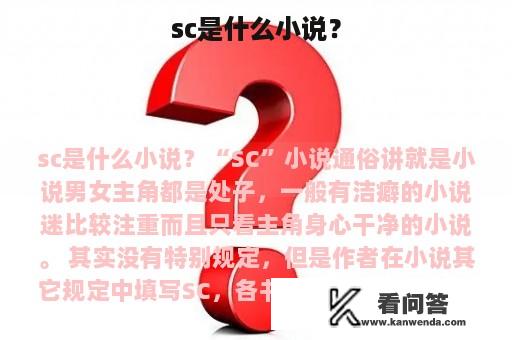 sc是什么小说？