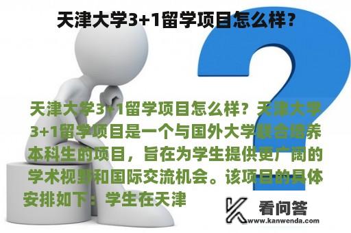 天津大学3+1留学项目怎么样？