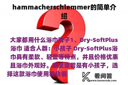 hammacherschlemmer的简单介绍