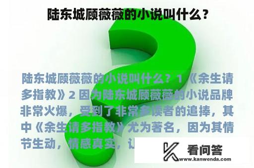 陆东城顾薇薇的小说叫什么？