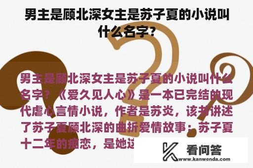 男主是顾北深女主是苏子夏的小说叫什么名字？