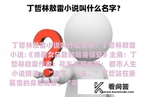 丁哲林敖雷小说叫什么名字？