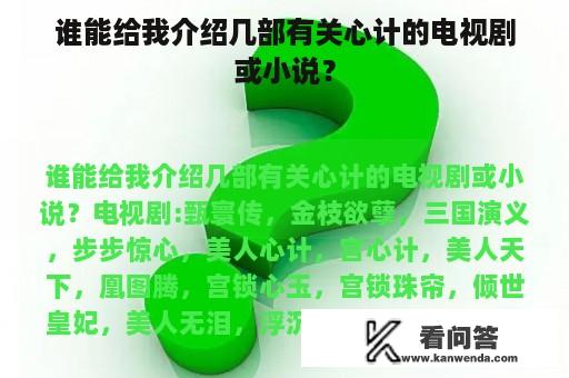 谁能给我介绍几部有关心计的电视剧或小说？