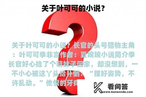 关于叶可可的小说？