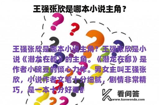 王强张欣是哪本小说主角？