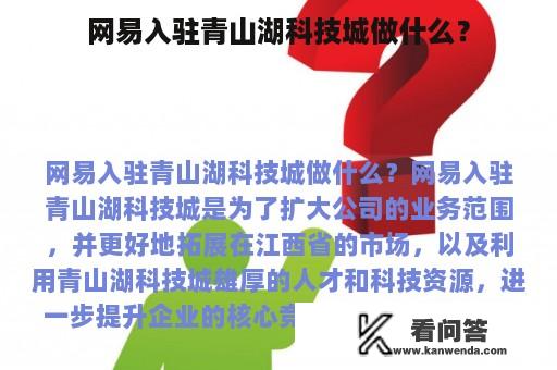 网易入驻青山湖科技城做什么？