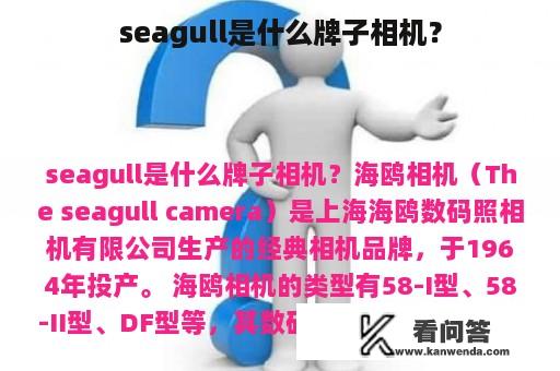 seagull是什么牌子相机？