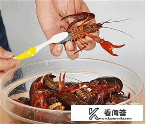 潜江油焖大虾怎么做？