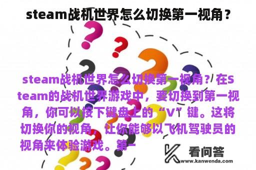 steam战机世界怎么切换第一视角？