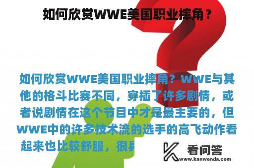 如何欣赏WWE美国职业摔角？