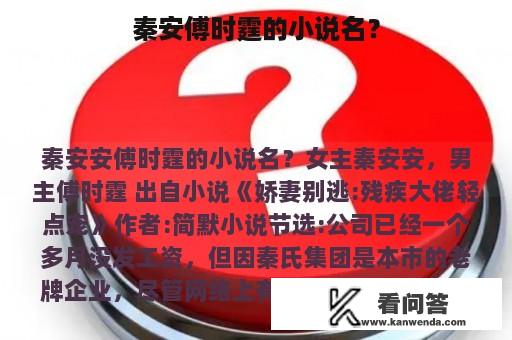 秦安傅时霆的小说名？