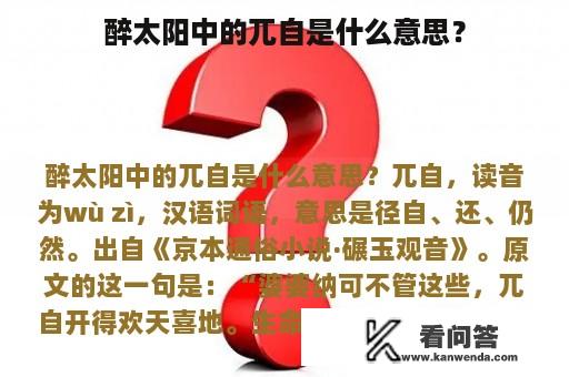 醉太阳中的兀自是什么意思？