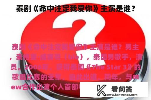 泰剧《命中注定我爱你》主演是谁？