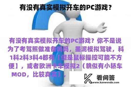 有没有真实模拟开车的PC游戏？