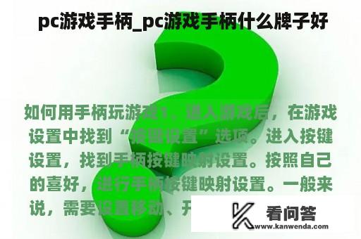  pc游戏手柄_pc游戏手柄什么牌子好