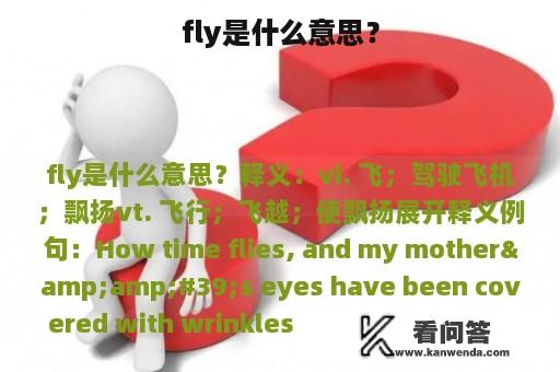 fly是什么意思？