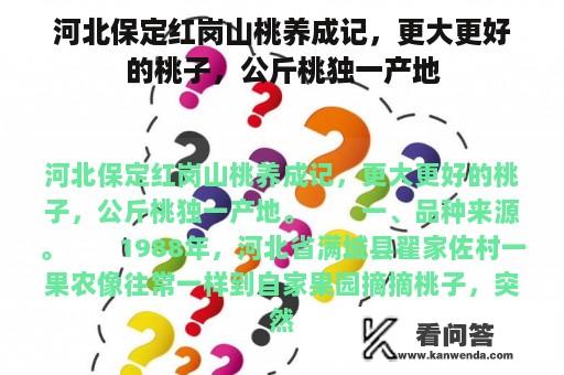 河北保定红岗山桃养成记，更大更好的桃子，公斤桃独一产地