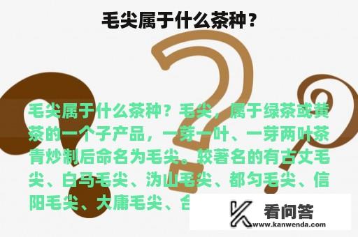 毛尖属于什么茶种？