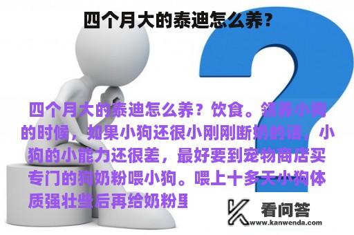 四个月大的泰迪怎么养？