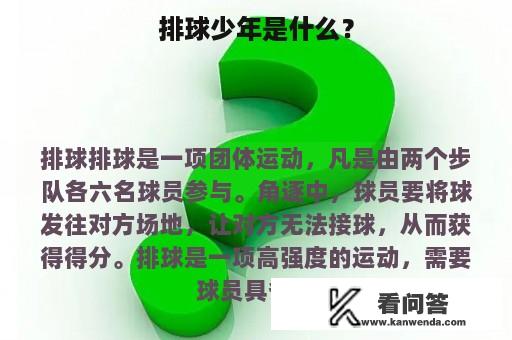 排球少年是什么？