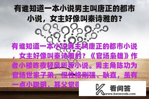 有谁知道一本小说男主叫唐正的都市小说，女主好像叫秦诗雅的？