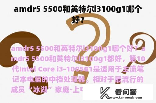 amdr5 5500和英特尔i3100g1哪个好？