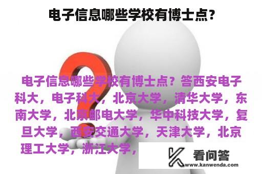 电子信息哪些学校有博士点？