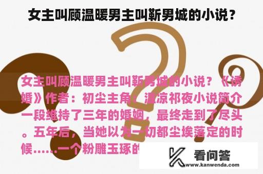 女主叫顾温暖男主叫靳男城的小说？