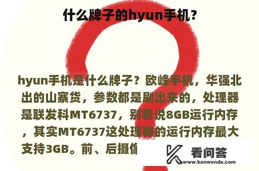 什么牌子的hyun手机？