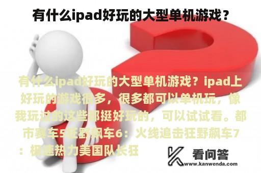 有什么ipad好玩的大型单机游戏？