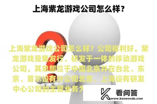 上海紫龙游戏公司怎么样？