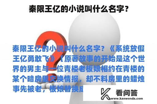 秦限王亿的小说叫什么名字？