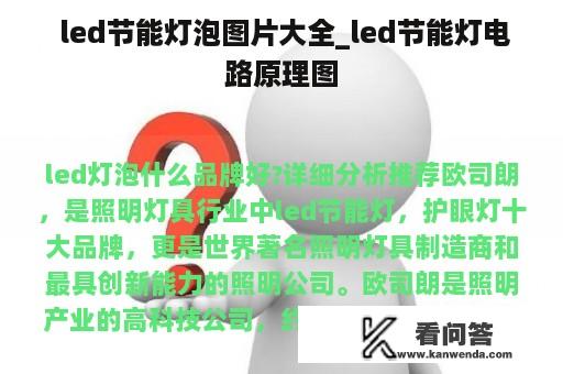  led节能灯泡图片大全_led节能灯电路原理图