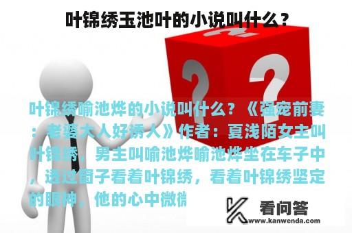 叶锦绣玉池叶的小说叫什么？