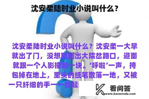 沈安柔陆时业小说叫什么？