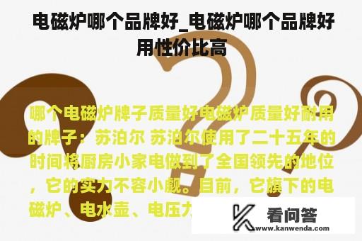  电磁炉哪个品牌好_电磁炉哪个品牌好用性价比高