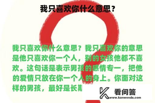 我只喜欢你什么意思？