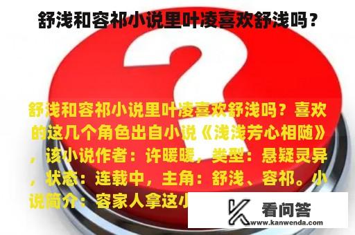 舒浅和容祁小说里叶凌喜欢舒浅吗？